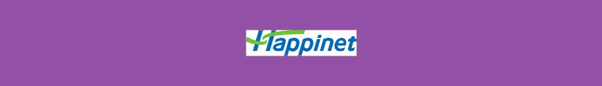 Figurines Happinet Corporation